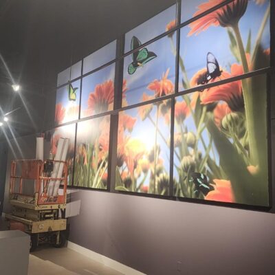 Adhesive Vinyl for Showroom Decoration Miami Printing services